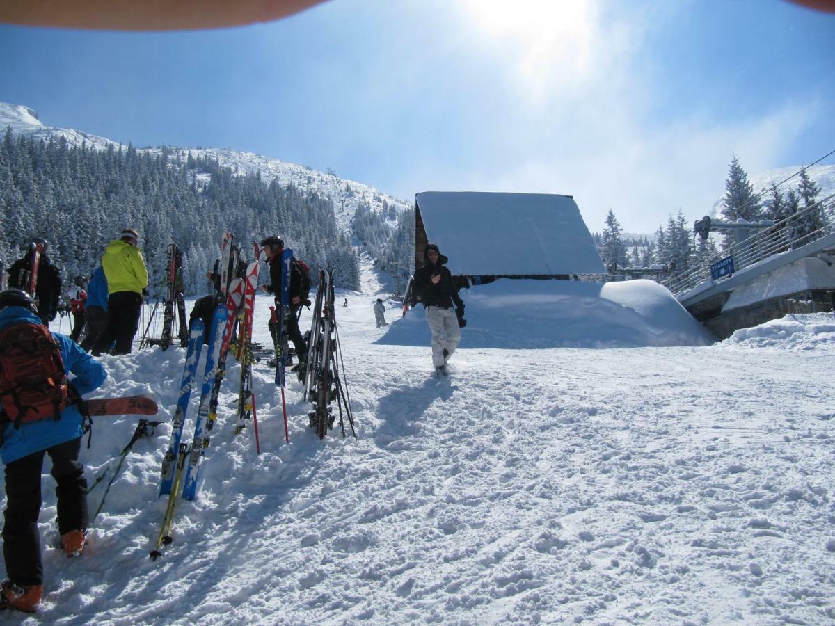 Wynajem Pokoi-Willa Pod Smrekami Zakopane Exterior photo